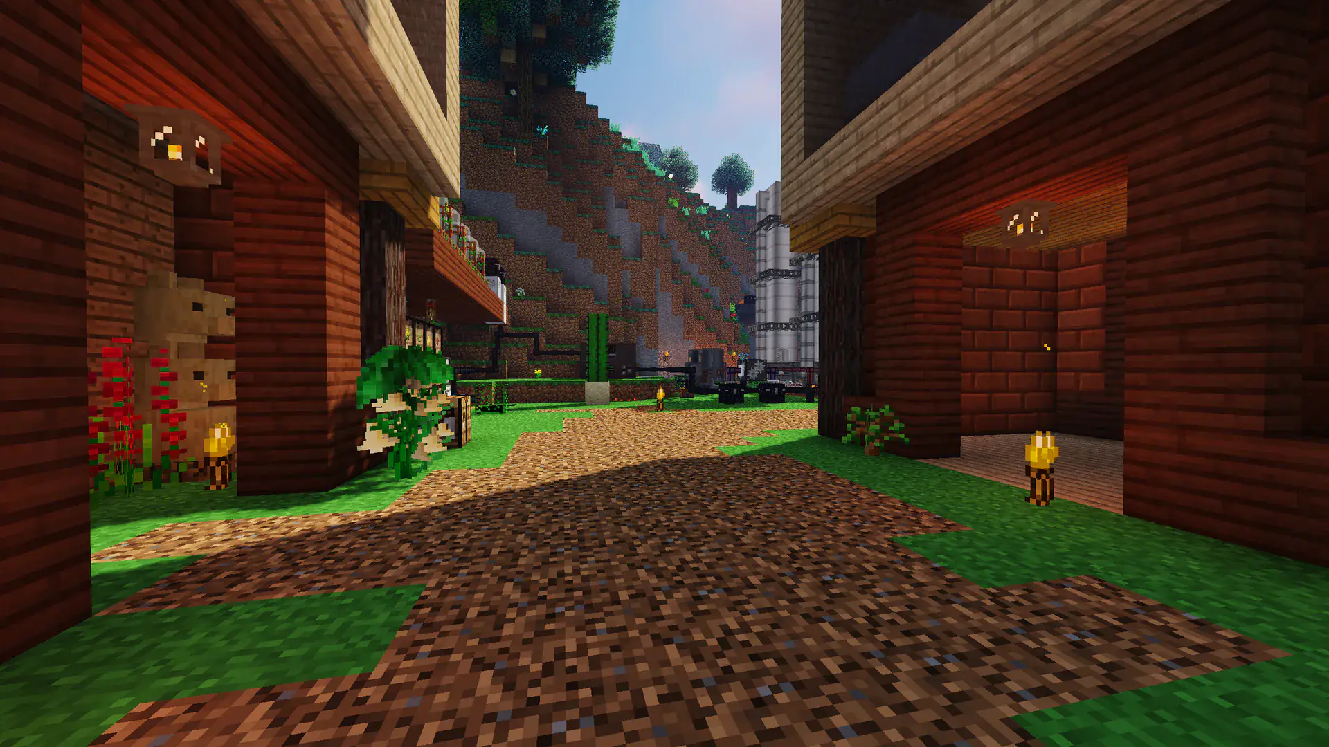 Coarse Path